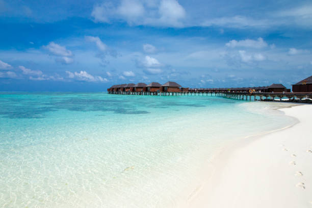 istock tropical Maldives island with white sandy beach and sea 1155854351