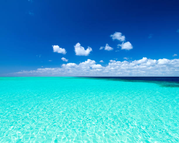 istock tropical Maldives island with white sandy beach and sea 1155854361
