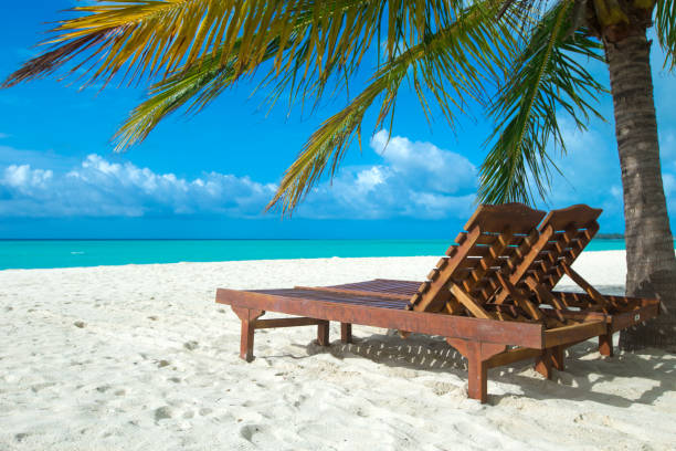 istock Maldives island with white sandy beach and sea 1155854439