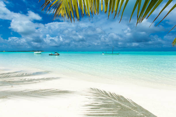 istock Maldives island with white sandy beach and sea 1155854448