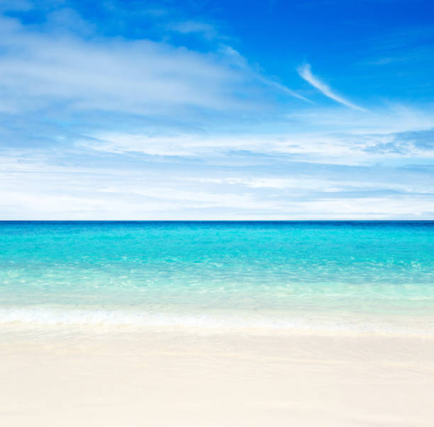 istock tropical beach and blue sea. 1155855000