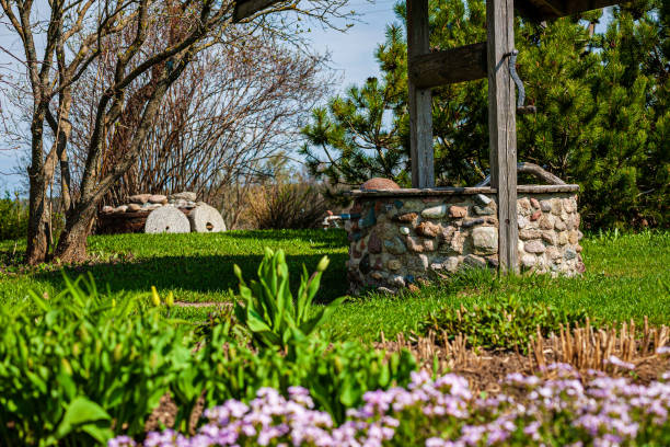 istock grass and foliage texture in country nature garden 1155855734