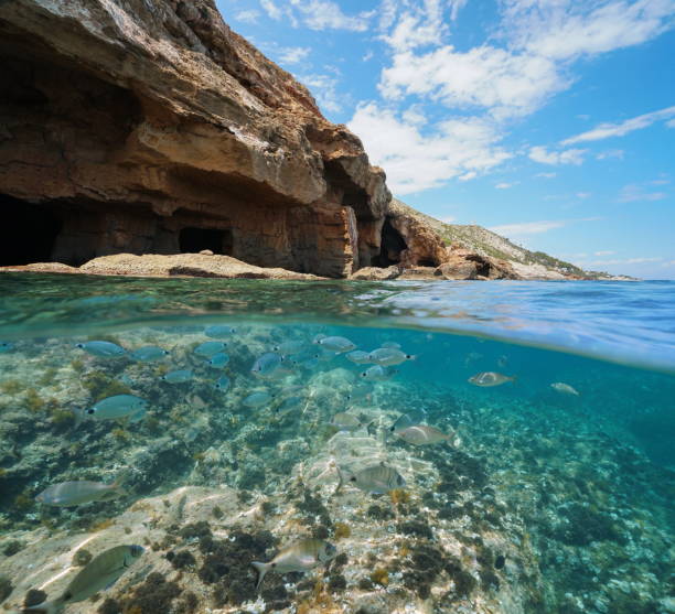 istock Rocky coast cave and fish shoal underwater Spain 1155856342