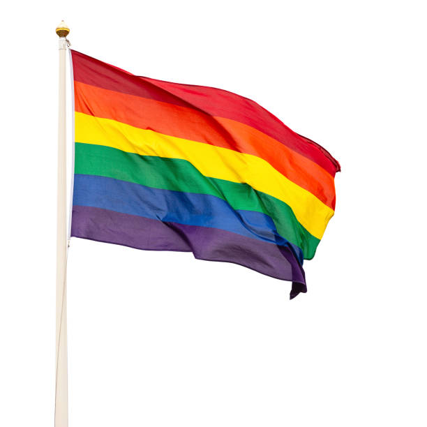 Pride flag isolated on white background Pride flag isolated on white background rainbow flag photos stock pictures, royalty-free photos & images
