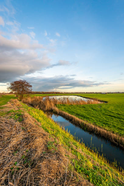 istock Recently cleaned ditch in a Dutch polder 1155860822