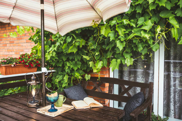 decorated sunny terrace deck with folding deck chairs and planters