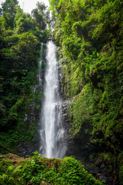 istock Melanting Waterfall, Munduk, Bali, Indonesia 1155864186