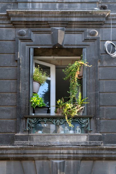 istock Bordeaux upstairs window close-up 1155866494