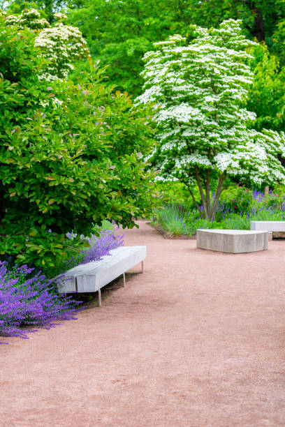 아름 다운 공원 - formal garden garden path bench flower 뉴스 사진 이미지