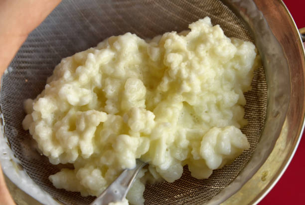 istock Close-up image of Kefir granules 1155869432