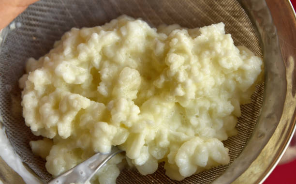 istock Close-up image of Kefir granules 1155869451