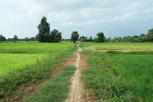 istock landscape of battambang cambodia 1155869846