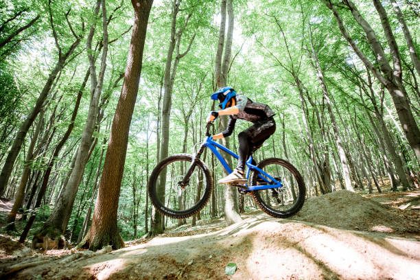 istock Cyclist riding on the forest track 1155873374
