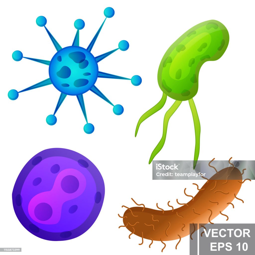 Bacteria Dangerous Virus Biological Research For Your Design Cartoon Style  Stock Illustration - Download Image Now - iStock