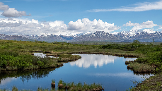 The Alaska Range in Denali National Park.