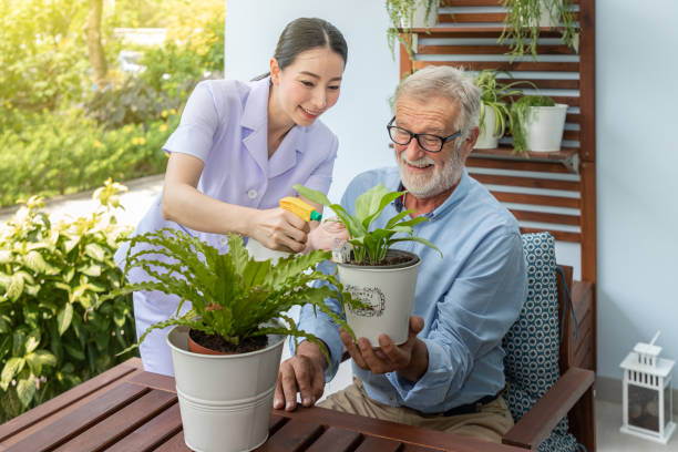 istock Caregiver help assist senior old man eldery puring water and taking care small tree on table 1155876319