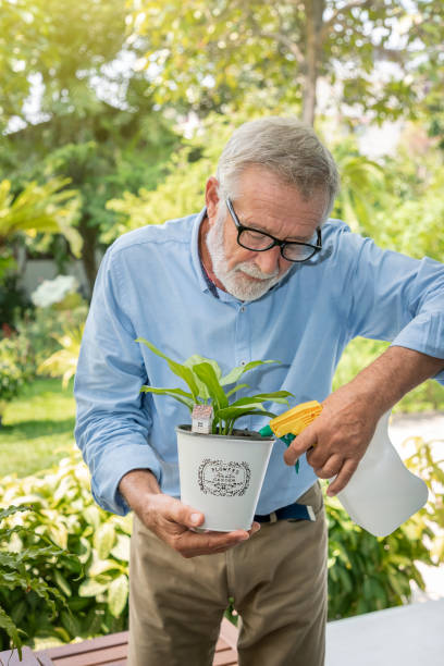 istock Senior old man eldery puring water and taking care small tree on table in garden 1155876377