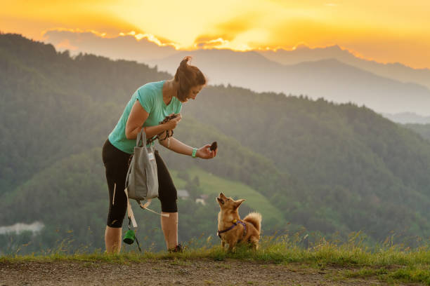 kobieta i pies gra pobrać na szczycie wzgórza z zachodem słońca chmury w tle - action dog outdoors animal trainer zdjęcia i obrazy z banku zdjęć