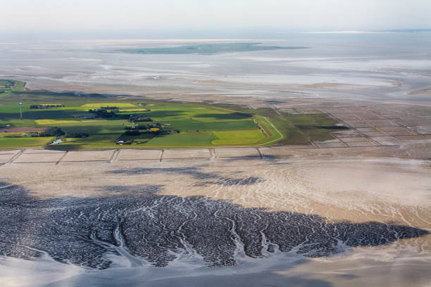 pellworm island, luftaufnahme des nationalparks schleswig-holsteinisches wattenmeer in deutschland - ebb tide stock-fotos und bilder
