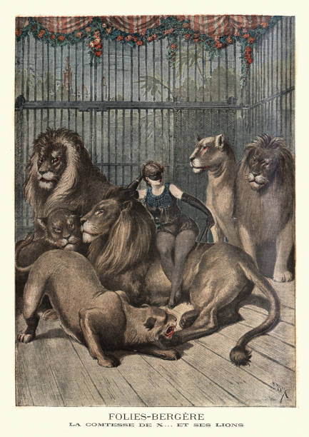 ilustrações de stock, clip art, desenhos animados e ícones de female lion tamer with her lions, folies bergere, 19th century - burlesco