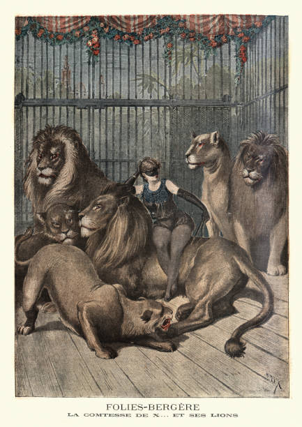 Female lion tamer with her lions, Folies Bergere, 19th Century Vintage engraving of Female lion tamer with her lions, Folies Bergere, 19th Century. Countess De X .. and her lions. (Folies Bergere.  La Comtese De X.. et ses lions). The Folies Bergere is a cabaret music hall, located in Paris, France. burlesque stock illustrations