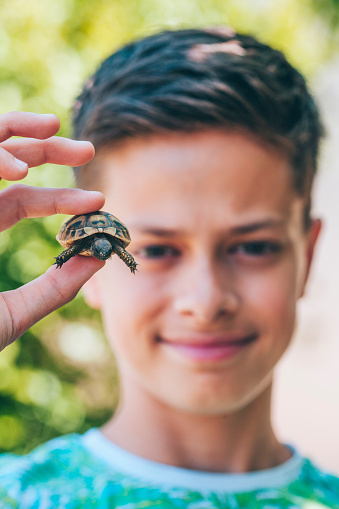 A boy holds baby turtles in his hands