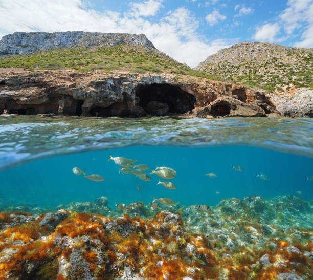 Spain Mediterranean coast cave and fish underwater
