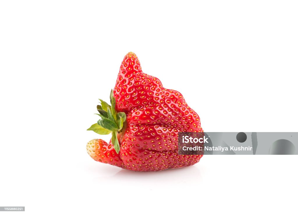 Strawberry isolated on white background. Ugly organic home grown strawberry isolated on white background.Trendy ugly food.Strange funny imperfect fruit .Misshapen produce, food waste concept. Top view, copy space. Ugliness Stock Photo