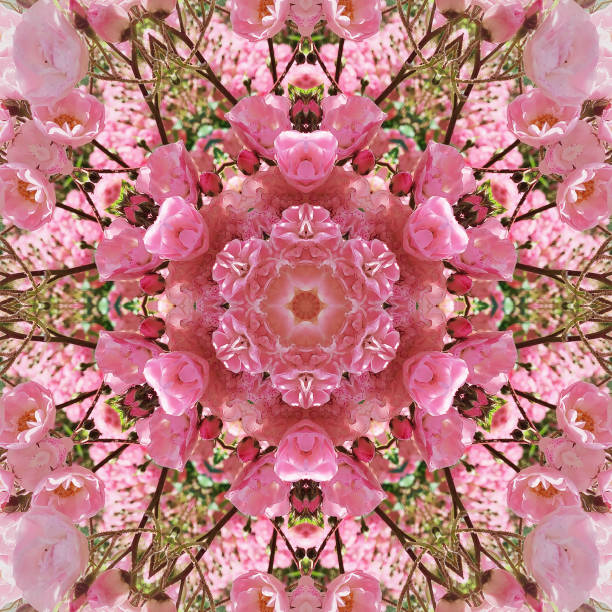istock Kaleidoscope  flower pattern with pink roses 1155882489
