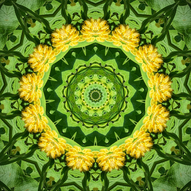 istock Kaleidoscope  flower pattern yellow phlomis russeliana 1155882711