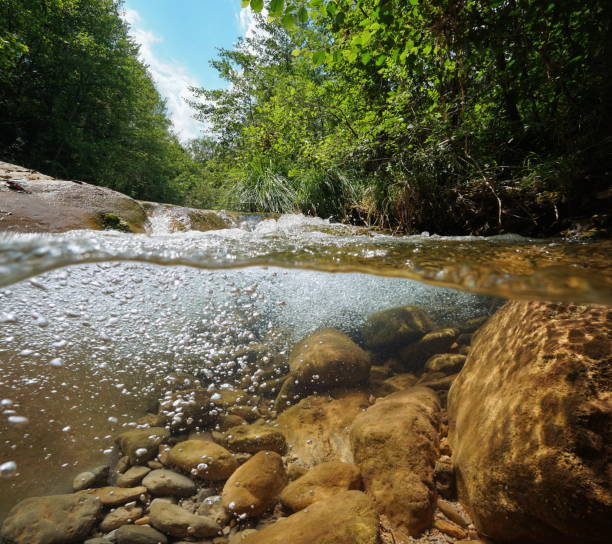 Stream with rocks and air bubbles underwater