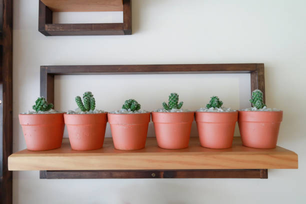 istock small flower pots on wooden shelves. a unique idea 1155886433