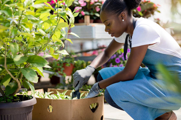 istock Working in a garden center 1155887691