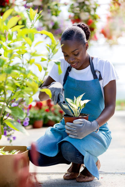 istock Working in a garden center 1155887715