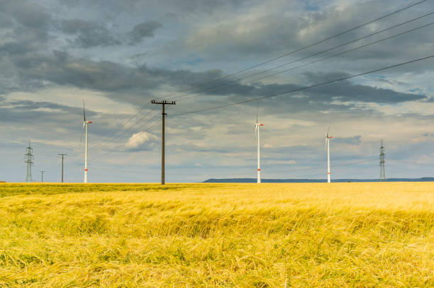 ciel dramatique de nuage au-dessus du champ de maïs avec les nuages foncés de pluie et les lignes électriques et les éoliennes - nature rain crop europe photos et images de collection