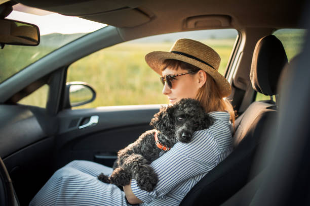 istock On the road trip with dog friend 1155895702