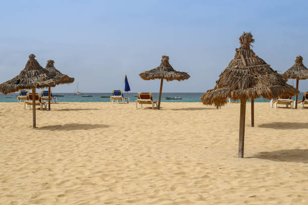 istock Beach with straw umbrellas and beds 1155897932