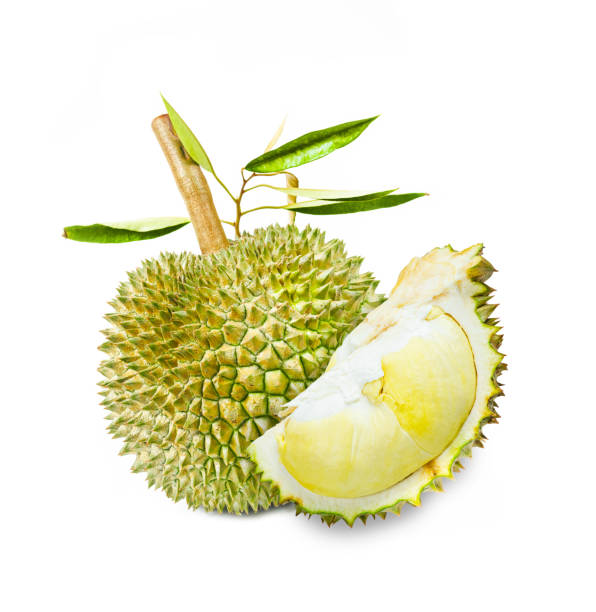 istock durian fruit and green leaves isolated on white 1155898895