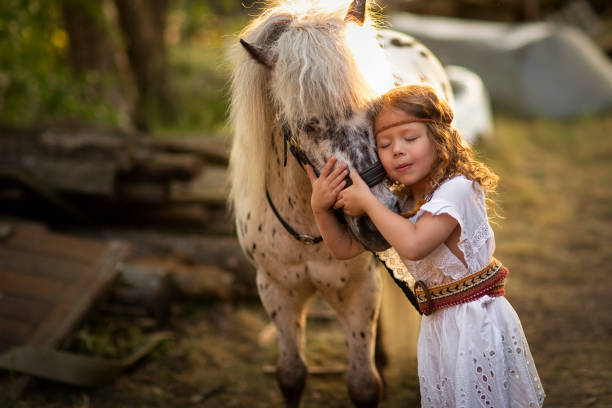 девушка гуляет на закате в поле с лошадью. сельская жизнь. лето - pony стоковые фото и изображения