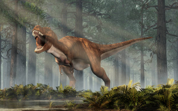 istock Roaring Tyrannosaurus Rex in a Forest 1155903572