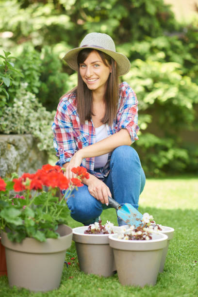 istock Woman planting flowers in backyard. 1155907440