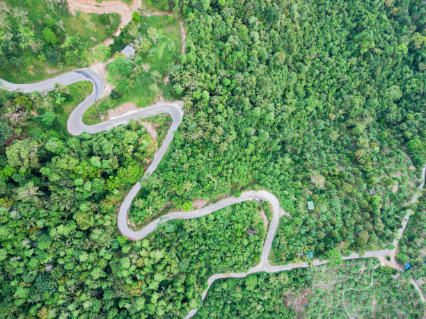 vista aérea de la carretera de montaña curva a través de una selva - thailand forest outdoors winding road fotografías e imágenes de stock