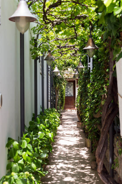 istock Green Alley in Capri 1155909457