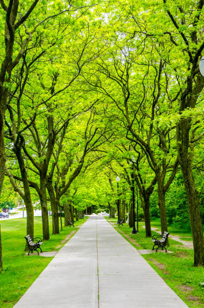 istock Alley of Battery park 1155910033