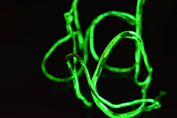 istock Toxic green lime lighting with a specific pattern. Woven filaments, cable, wires with outgoing light. Neon electroluminescent wire in the form of night lighting. 1155913251