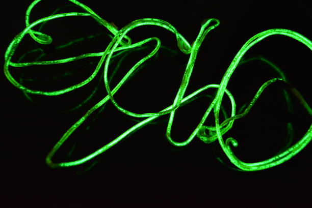 istock Toxic green lime lighting with a specific pattern. Woven filaments, cable, wires with outgoing light. Neon electroluminescent wire in the form of night lighting. 1155913272
