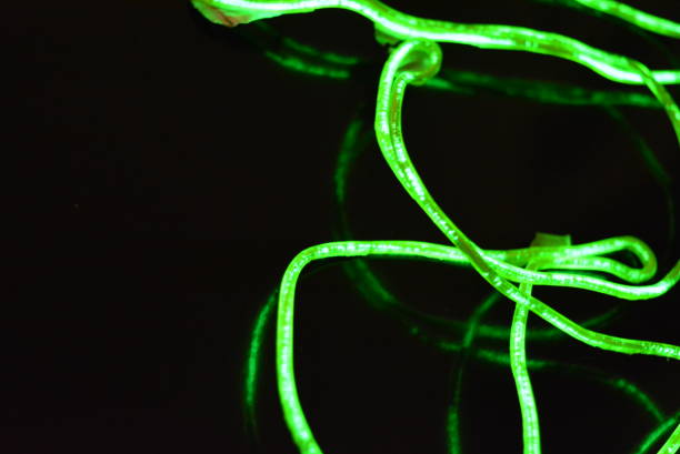 istock Toxic green lime lighting with a specific pattern. Woven filaments, cable, wires with outgoing light. Neon electroluminescent wire in the form of night lighting. 1155913305