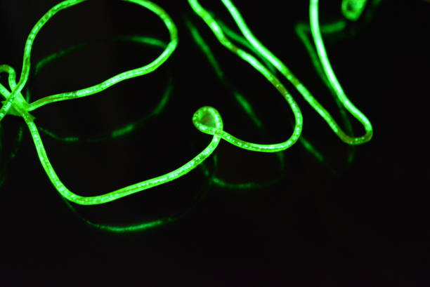 istock Lime green lighting with a specific pattern. Woven filaments, cable, wires with outgoing light. Neon electroluminescent wire with an inscription and letters open. 1155913327