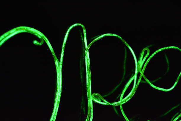 istock Toxic green lime lighting with a specific pattern. Woven filaments, cable, wires with outgoing light. Neon electroluminescent wire in the form of night lighting. 1155913336