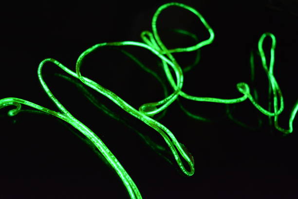 istock Toxic green lime lighting with a specific pattern. Woven filaments, cable, wires with outgoing light. Neon electroluminescent wire in the form of night lighting. 1155913343